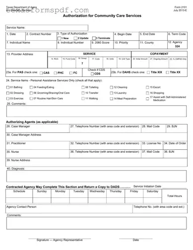 2101 Texas Form in PDF