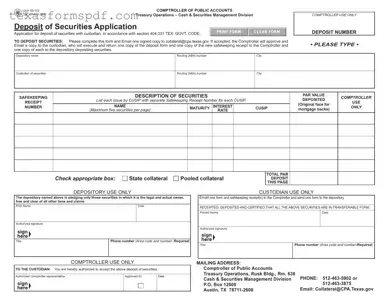 Texas 00 132 Form in PDF