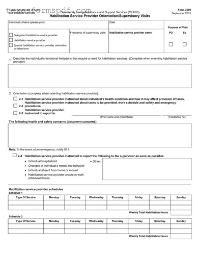 Texas 3599 Form in PDF