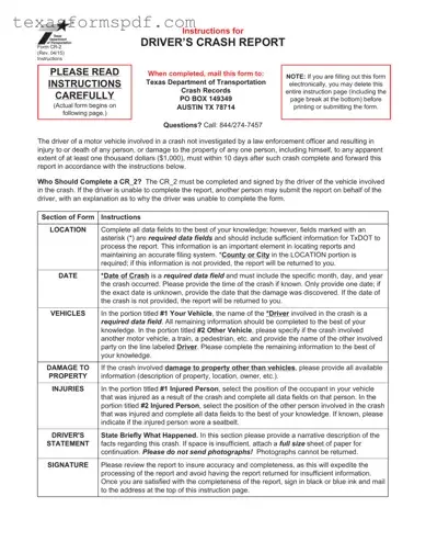 Texas Blue Form in PDF