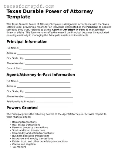 Legal Durable Power of Attorney Document for the State of Texas