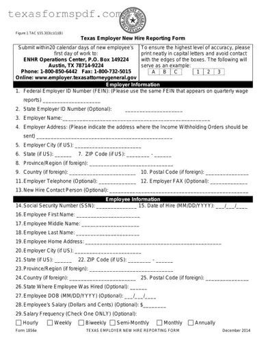 Texas New Hire Reporting Form in PDF