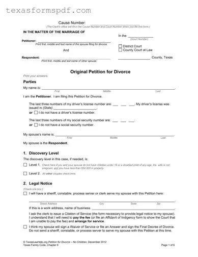 Texas Original Petition Divorce Form in PDF