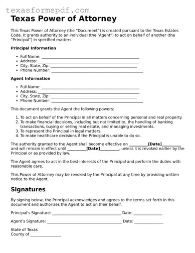 Legal Power of Attorney Document for the State of Texas
