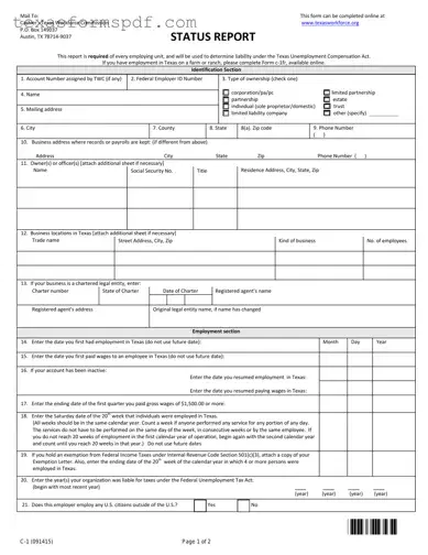 Texas Workforce Commission Report Form in PDF