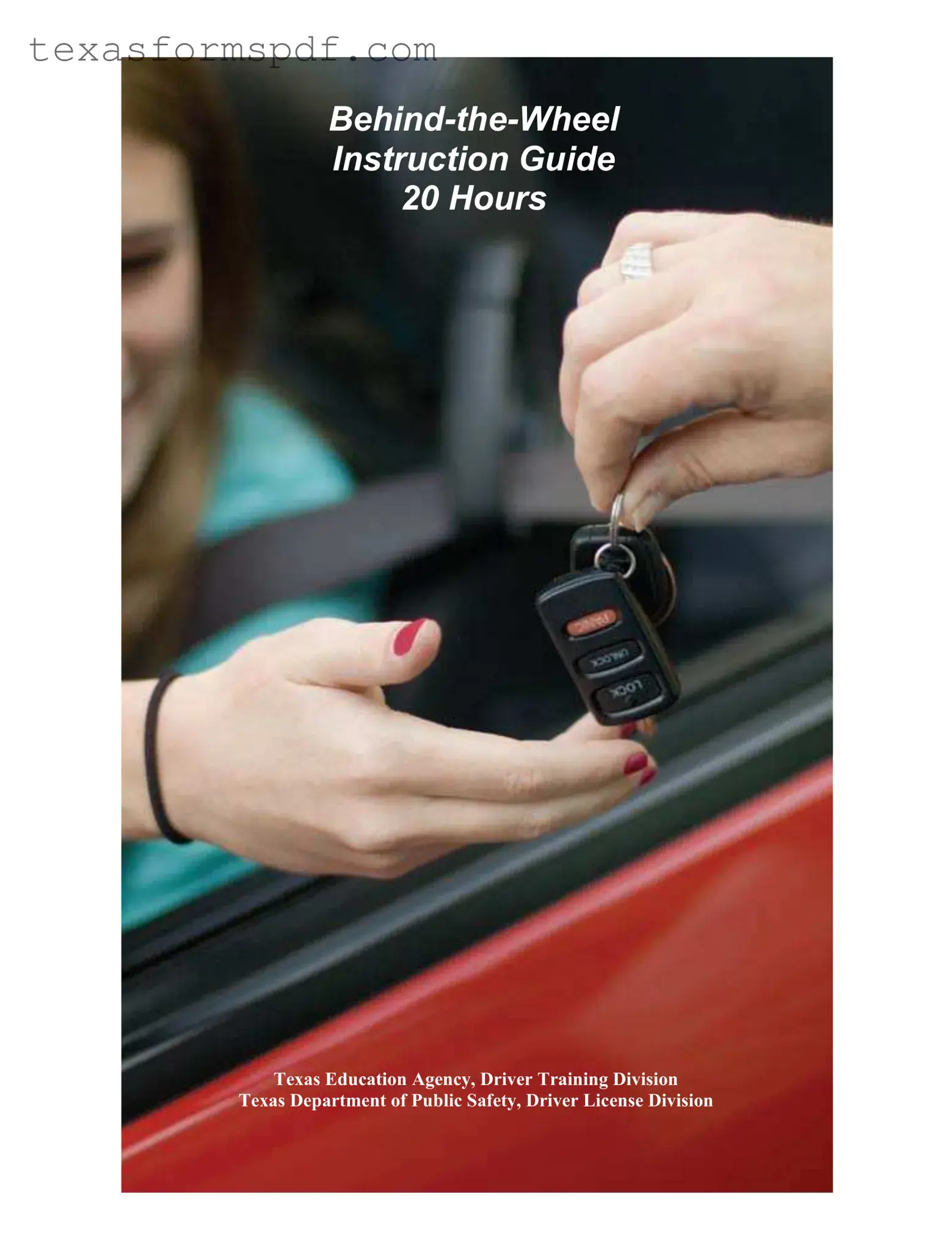 Texas Behind Wheel Form in PDF