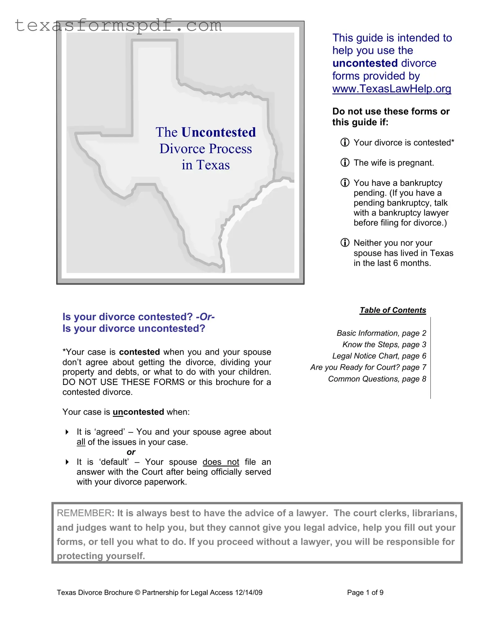 Texas Divorce Form in PDF