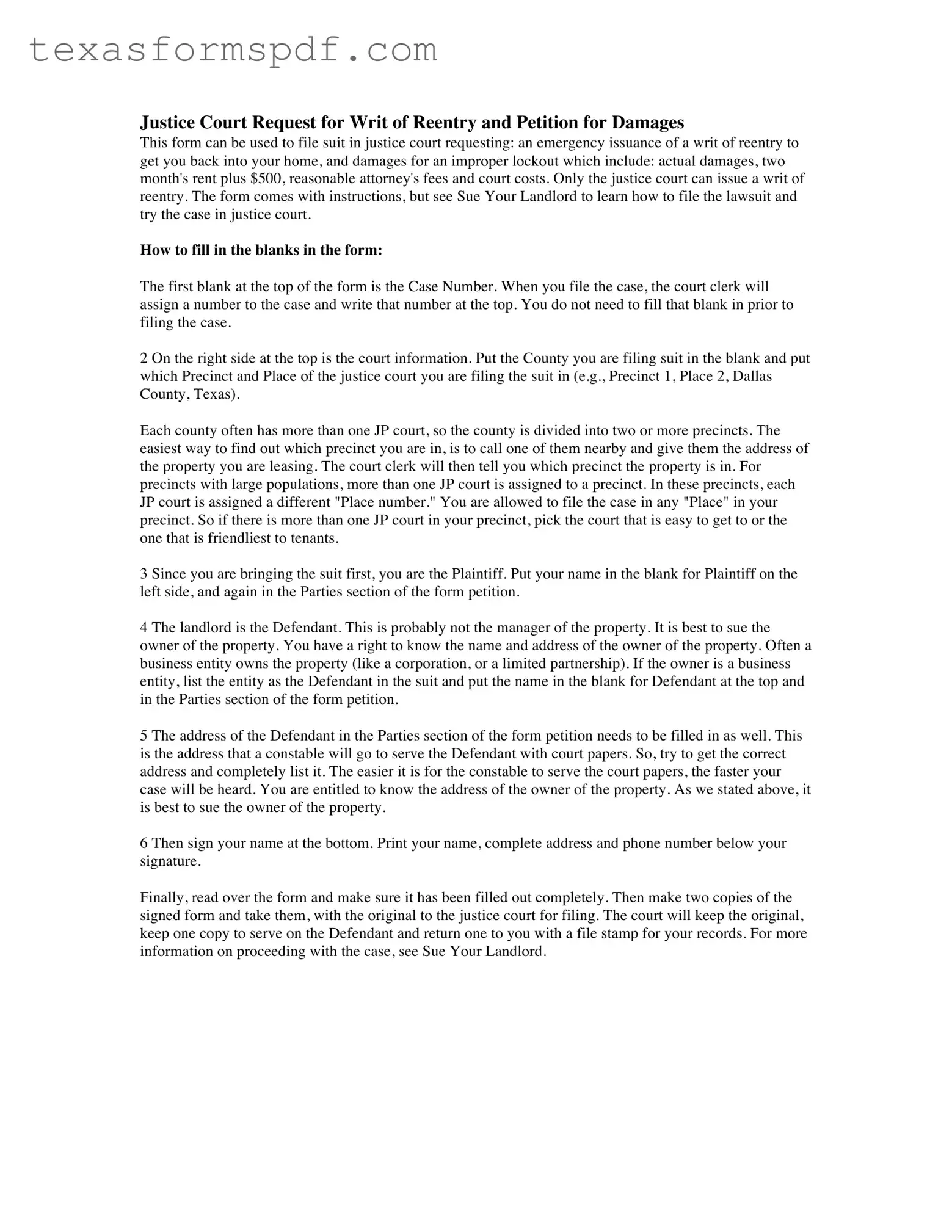 Texas Plaintiffs Petition Form in PDF