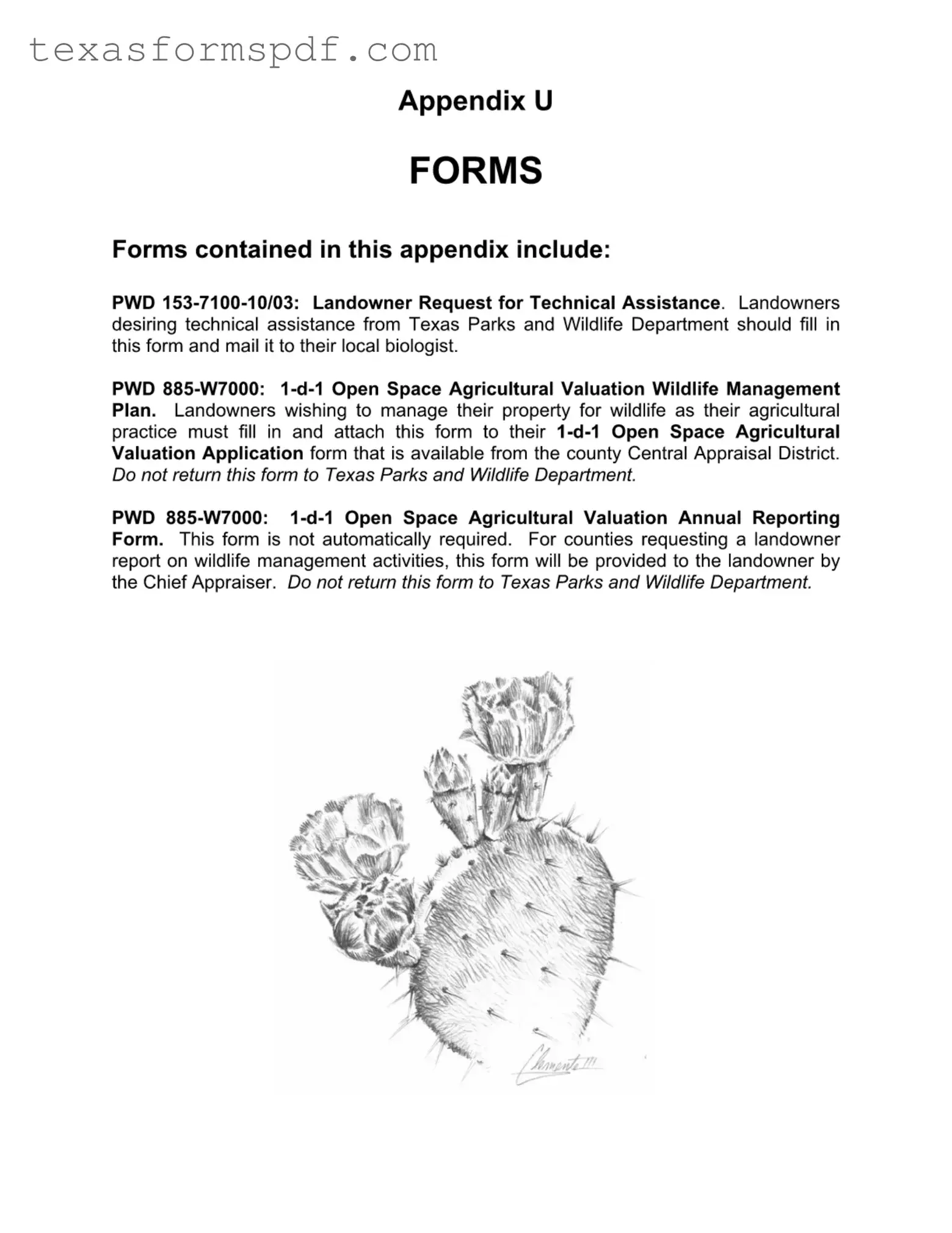 Texas Pwd Form in PDF